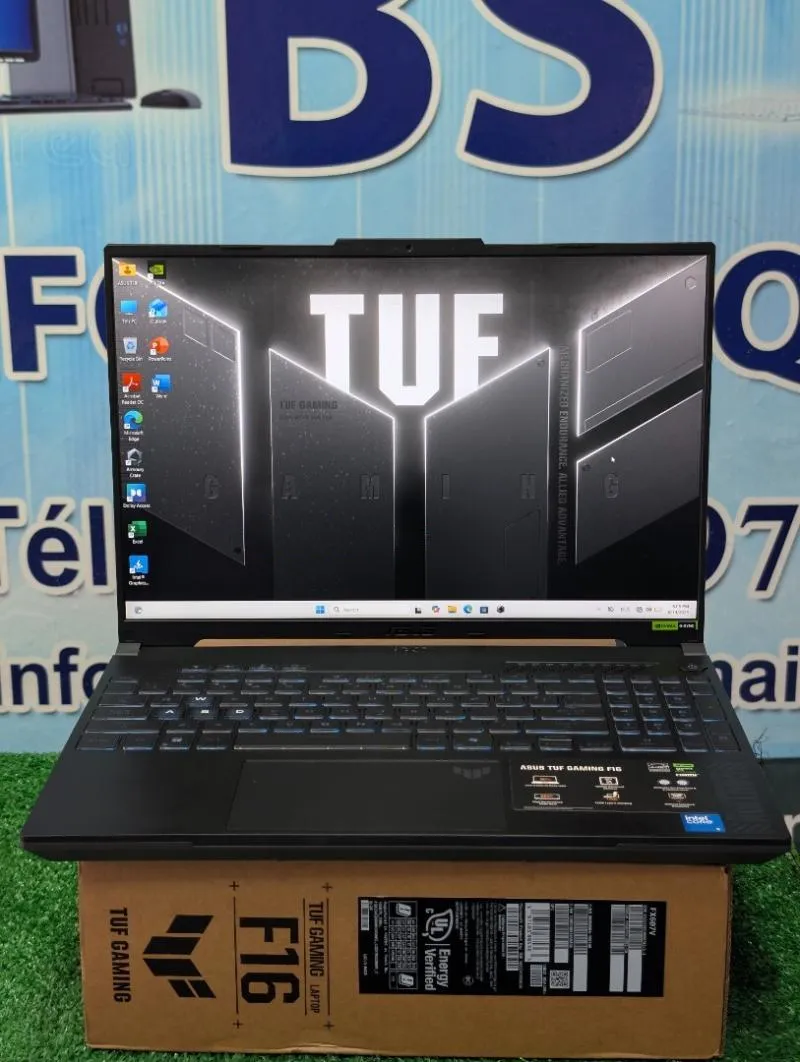 ASUS TUF Gaming FX607VU — Intel Core 5 210H · 16 Go · RTX 4050 · 16" 144 Hz